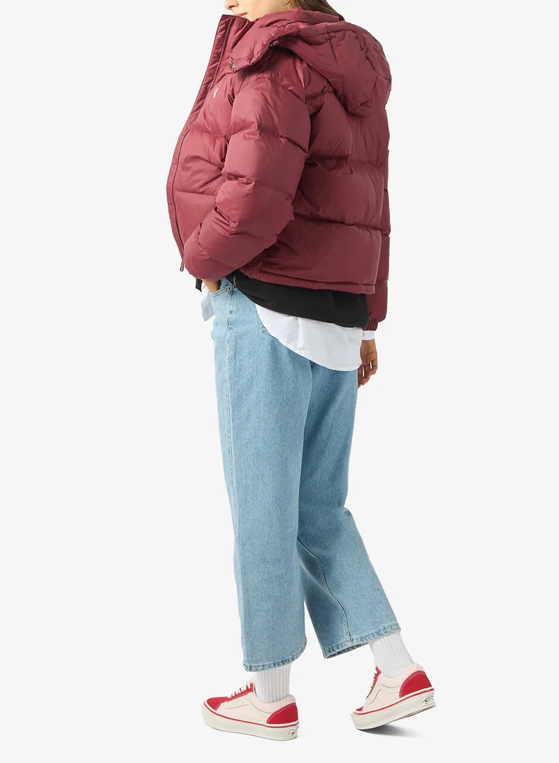 فانز إل إكس أولد سكول