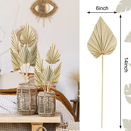 Chenkaiyang Cenkaiyang 10 Pcs Boho Dried Palm Spears Leaves, Real Palm Fans with Stem, Boho Home Decor for Vase, Wedding, Office, Home (10 Pieces) - Image 3