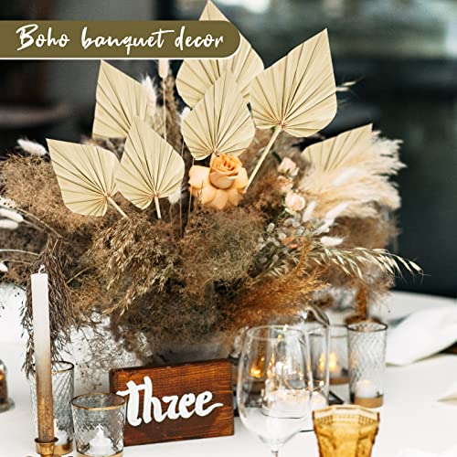 Chenkaiyang Cenkaiyang 10 Pcs Boho Dried Palm Spears Leaves, Real Palm Fans with Stem, Boho Home Decor for Vase, Wedding, Office, Home (10 Pieces) - Image 5