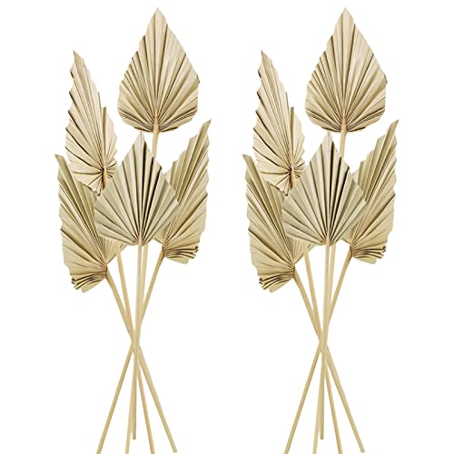 Chenkaiyang Cenkaiyang 10 Pcs Boho Dried Palm Spears Leaves, Real Palm Fans with Stem, Boho Home Decor for Vase, Wedding, Office, Home (10 Pieces) - Image 1