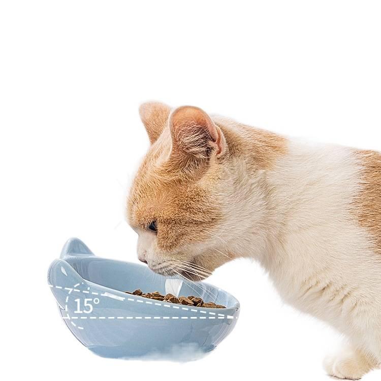 White Double Pet Bowl with Raised Stand Tilted Bowl and Anti-Tip Base Food and Water Daily Feeding Indoor Feeding Home Use Pet Feeding Accessory Easy Clean Bowl for Cats and Dogs - Image 4