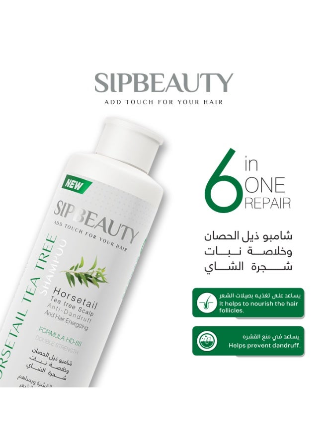 سيب بيوتي شامبو ضد القشرة بخلاصه طبيعية من نبات الشاي وذيل الحصان 250 مل  +  لوشن كيراتين مغذي بصيلات الشعر 250 مل - Image 3