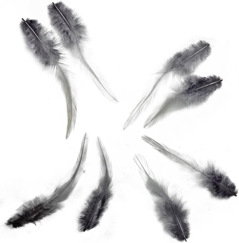 HAPPY FEATHER 100PCS Saddle Hackle Rooster Feather for Crafts, 5-7 inch Natural Pheasant Neck Feathers DIY Pendant Earrings Dream Catcher-Gray - Image 4