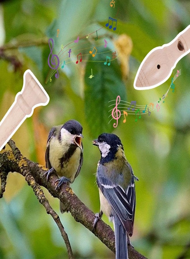meiqidi 11-Piece Natural Wooden Bird Call Set, Handmade Bird Whistle Set in Acrylic Wooden Box for Bird Watchers, Nature Lovers, Outdoor Exploration & Education - Image 5