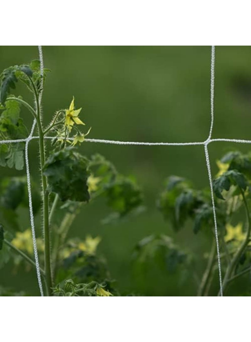 Barakah Garden Plant Trellis Netting for Climbing Vines, Durable Polyester Plant Support Mesh, Reusable Growing Fence Barrier for Vegetables, Flower, Ideal for Home Garden & Greenhouse - Image 3