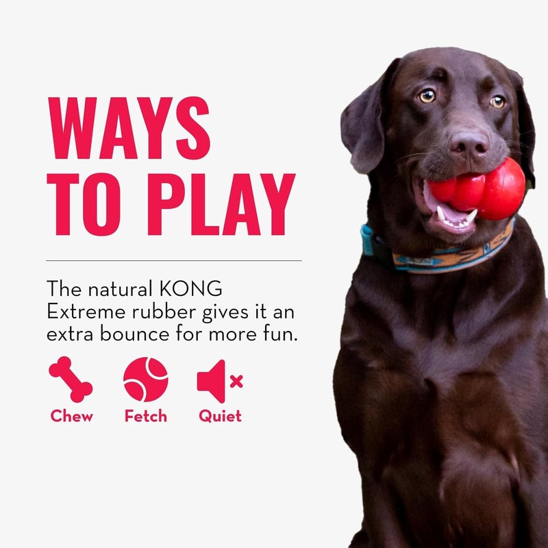 KONG Extreme Ball - Durable Rubber Dog Toy for Power Chewers, Black - Ideal for Small Dogs - Image 4