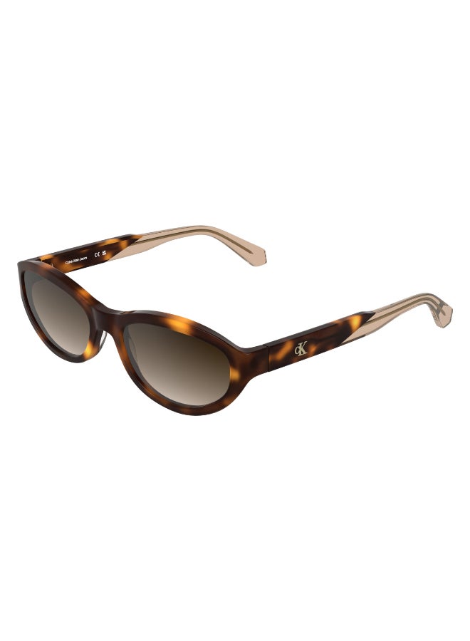 Calvin Klein Jeans FULL RIM ACETATE CALVIN KLEIN JEANS SUN CKJ25618S 5617 (235) HAVANA - Image 2