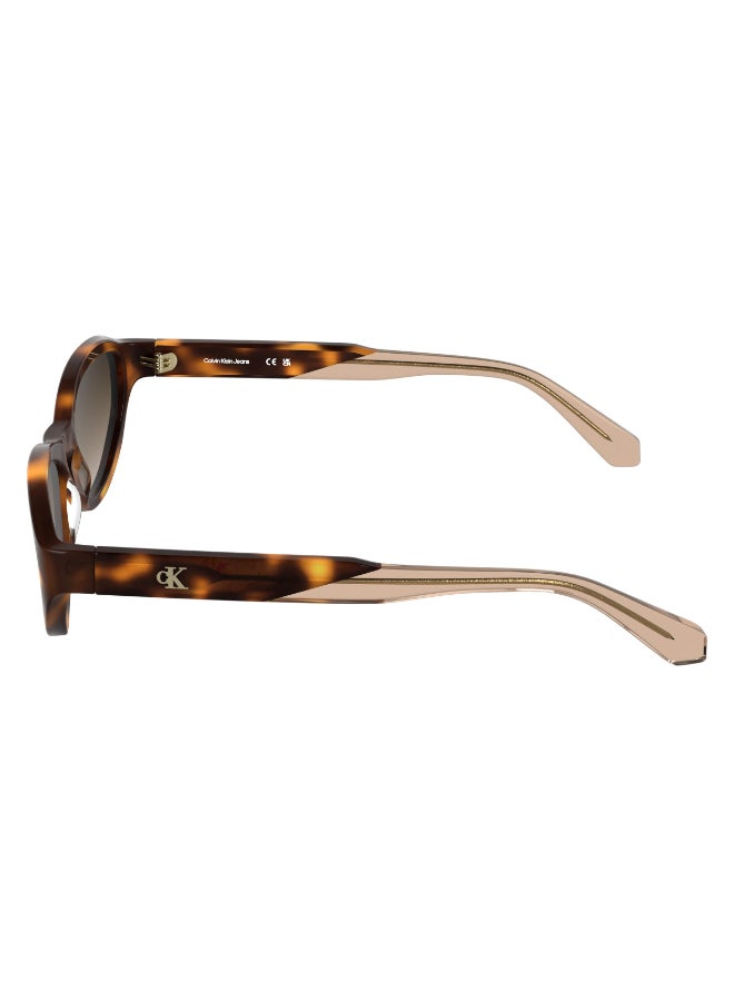 Calvin Klein Jeans FULL RIM ACETATE CALVIN KLEIN JEANS SUN CKJ25618S 5617 (235) HAVANA - Image 4