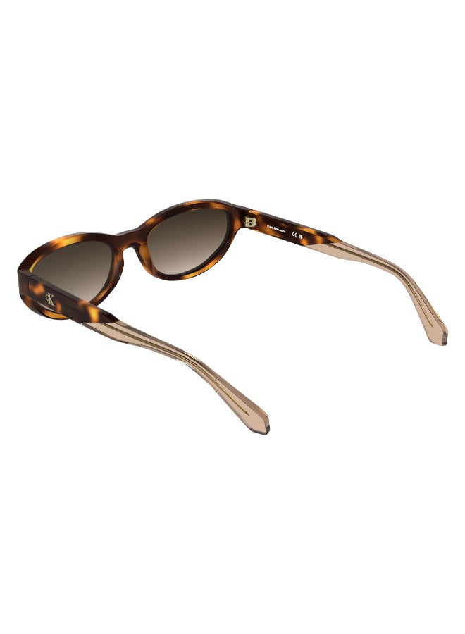 Calvin Klein Jeans FULL RIM ACETATE CALVIN KLEIN JEANS SUN CKJ25618S 5617 (235) HAVANA - Image 5