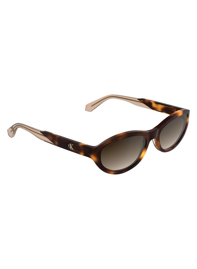 Calvin Klein Jeans FULL RIM ACETATE CALVIN KLEIN JEANS SUN CKJ25618S 5617 (235) HAVANA - Image 3