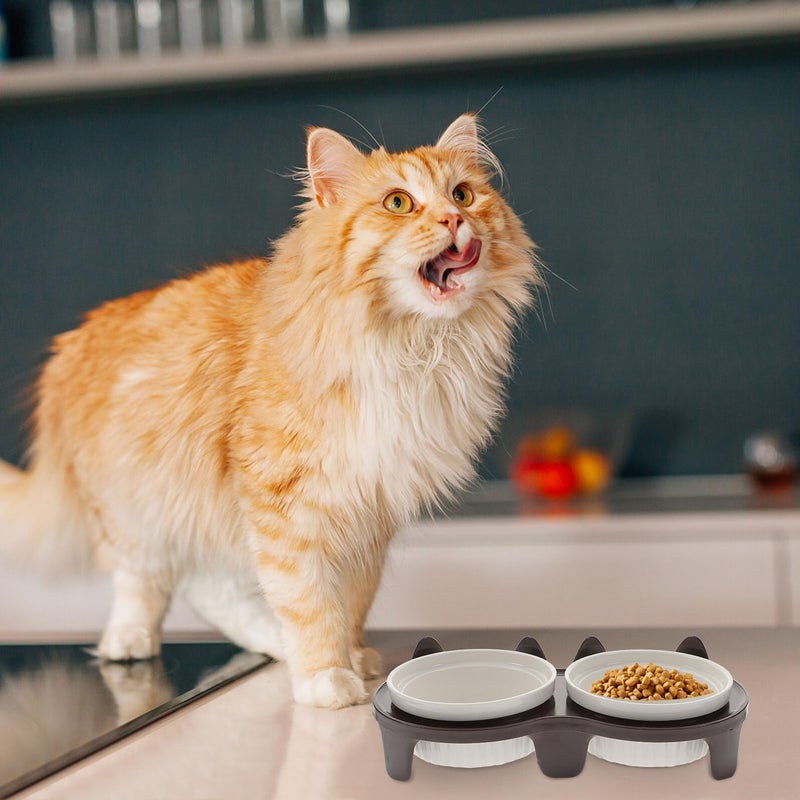 Elevated Ceramic Cat Bowl Set with Slant Design and Neck Protection Feeding Rack - Image 5