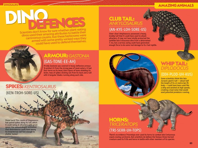 National Geographic Kids Infopedia 2022 Paperback – 4 May 2021 - Image 4
