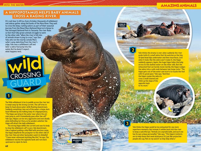 National Geographic Kids Infopedia 2022 Paperback – 4 May 2021 - Image 3