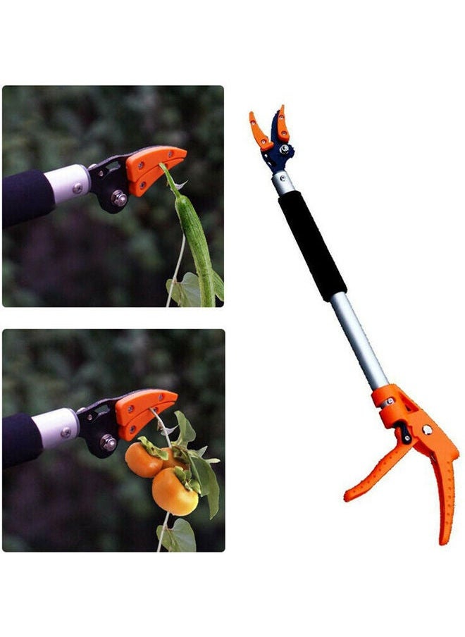 NIBEMINENT - Fruit Picker Pruner Orchard Tool Multicolour - Image 1