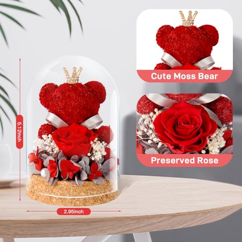 DoraMagic Preserved Rose Flowers Gifts for Her, Real Forever Rose in Glass Dome with Adorable Bear for Girlfriend,Mom,Wife,Grandma on Birthday Anniversary Valentine's Day (Red) - Image 2