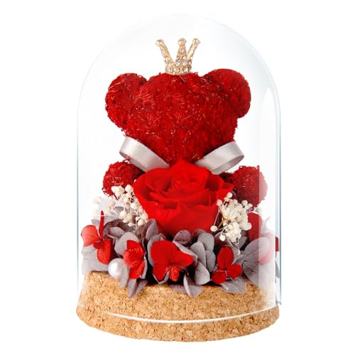 DoraMagic Preserved Rose Flowers Gifts for Her, Real Forever Rose in Glass Dome with Adorable Bear for Girlfriend,Mom,Wife,Grandma on Birthday Anniversary Valentine's Day (Red) - Image 1