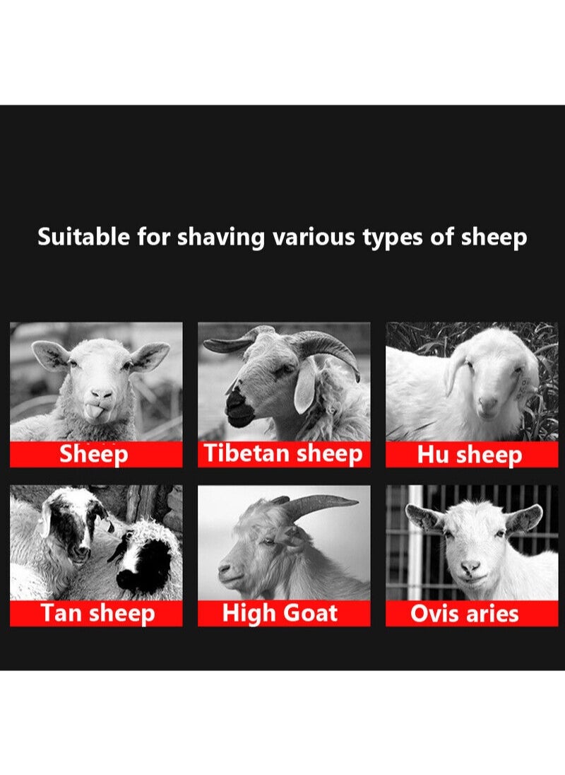 Aikanbo - Cordless Wool Shear With 6-Speed Fast And Slow Shifting 2600 Rpm Professional Rechargeable Shearer 21v For Shaving Sheep, Goats, Cows And Other Farm Animals With 2 Lithium Battery - Image 1