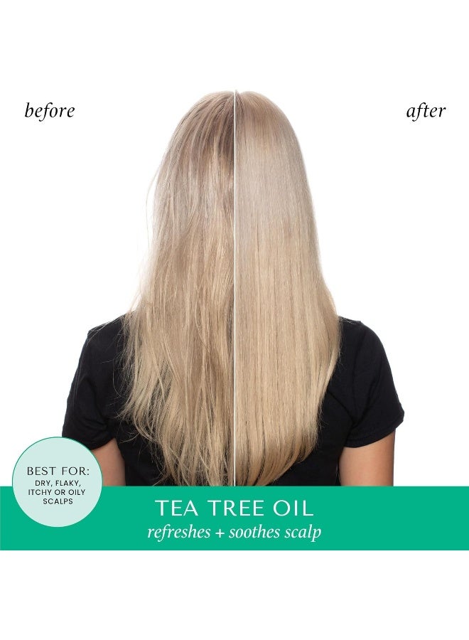HASK TEA TREE OIL & ROSEMARY Invigorating Shampoo + Conditioner Set - Image 3