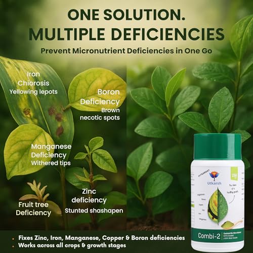 Utkarsh Combi-2 (EDTA Chelated Fertilizers, Mix Micronutrient) Prevents Mix Crop Deficiencies, Keeps Plants/Home Garden Healthy, Improves Crop Yield & Quality (3 Kg; Pack of 3 of 1 Kg) - Image 2