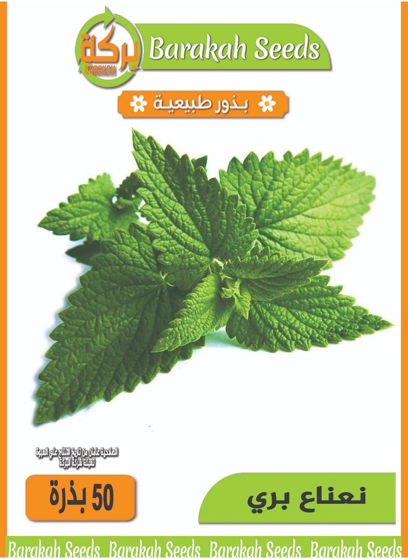 Generic High germination rate seeds - wild mint 