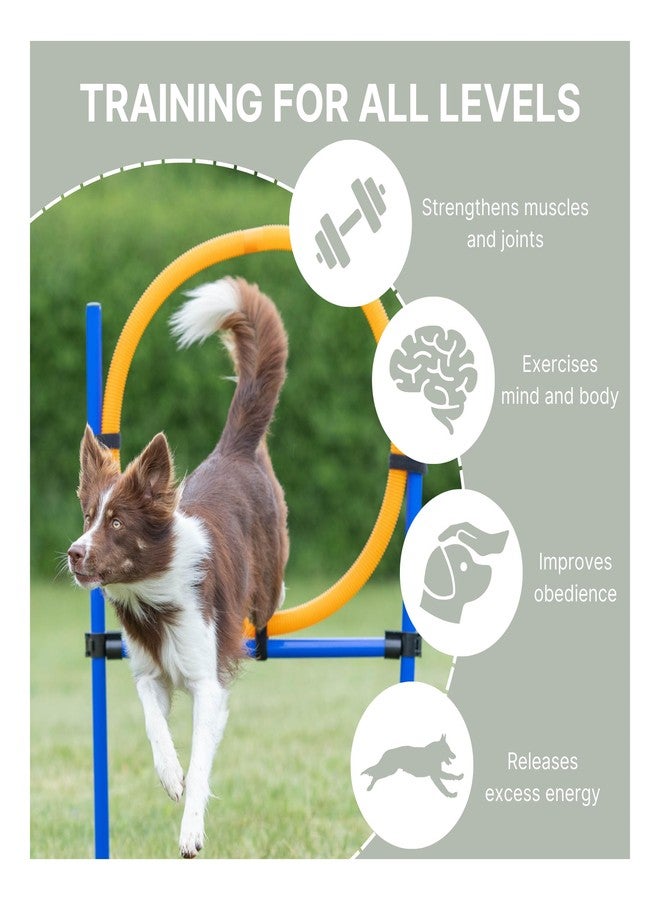 تريكسي حلقة تدريب الكلاب TRIXIE، طوق كلاب محمول، معدات مسار العوائق، تدريب الطاعة - Image 3