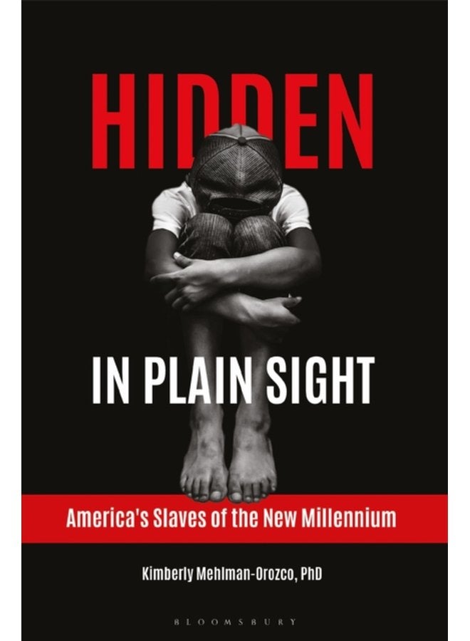 Hidden in Plain Sight America s Slaves of the New Millennium - Hardback