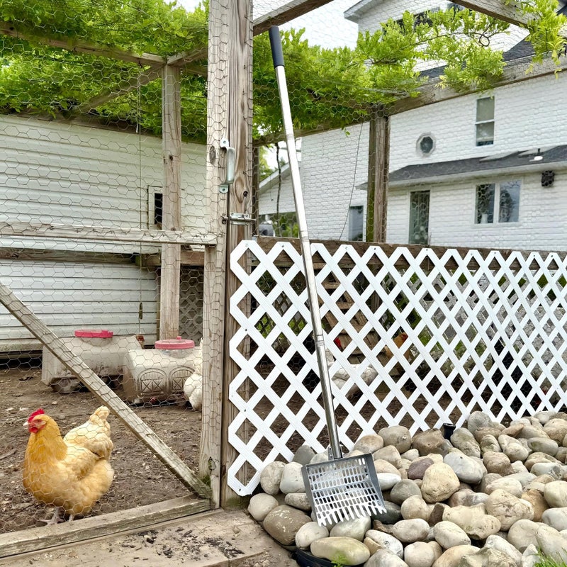 CKLT Chicken Poop Scooper Spring Steel Sifting Shovel with 3 Adjustable Angle, 38-66in Extendable Stainless Steel Handle, Professional Poultry Litter Cleaner for Chicken Coop, Duck, Goat & Sand - Image 2