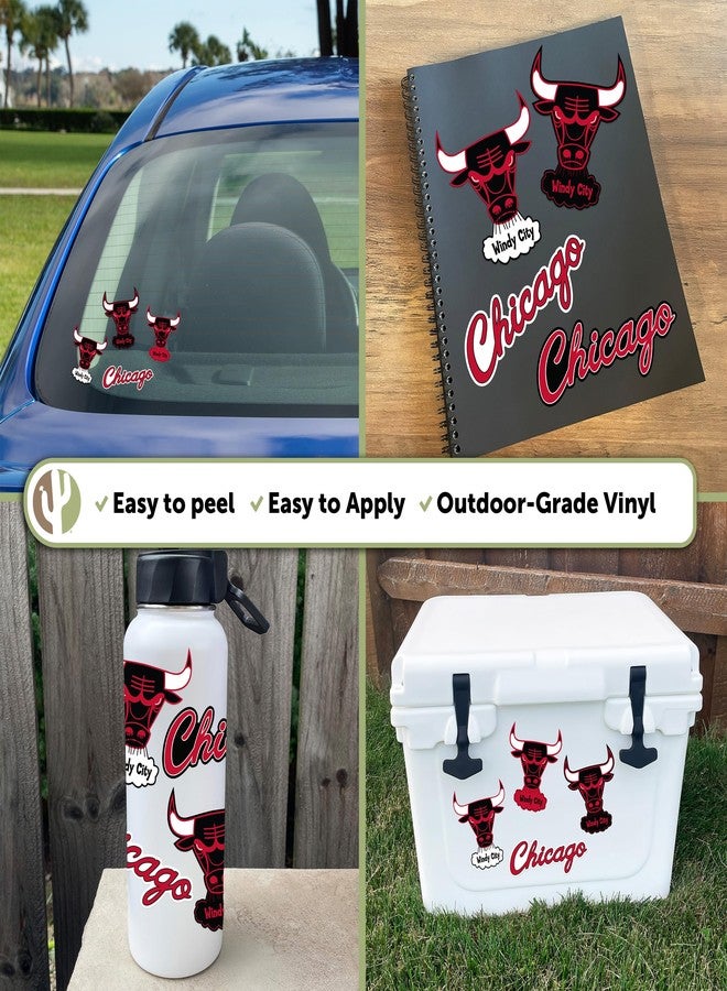 Desert Cactus Chicago Bulls Sticker NBA Officially Licensed Vinyl Decal Laptop Water Bottle Car Scrapbook (Vintage T2-B) - Image 3