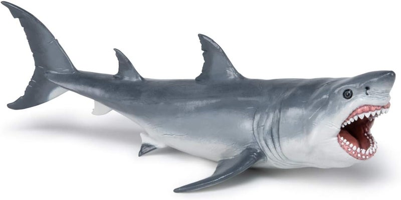 Papo تمثال ميغالودون الواقعي من بابو للأعمار 3 سنوات فما فوق - مجموعة الديناصورات - مطلي يدويًا - عالي التفاصيل - متين وتعليمي - فكرة هدية - قابل للجمع - لعبة ميغالودون - سمكة ما قبل التاريخ - Image 4