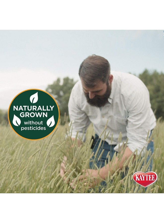 كايتي البرسيم بالة صغيرة، 24 أوقية حقيبة - Image 2