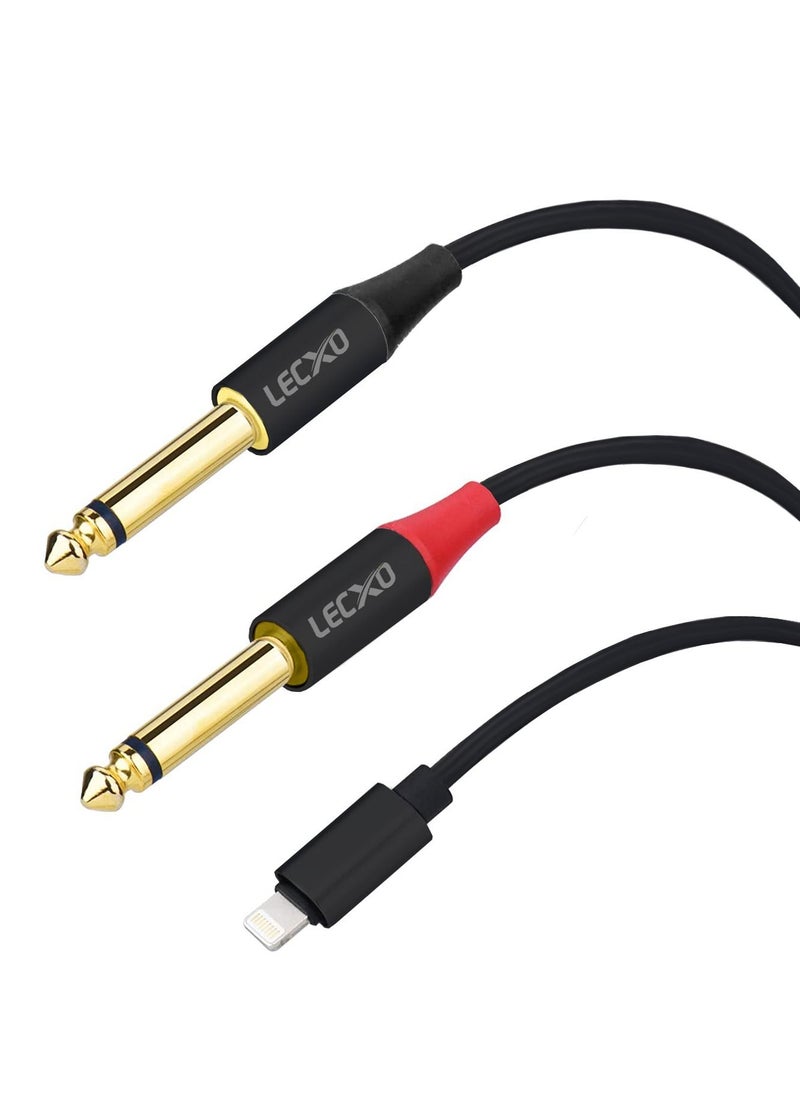 2 Mono Jack to iPhone Lightning Audio Cable
