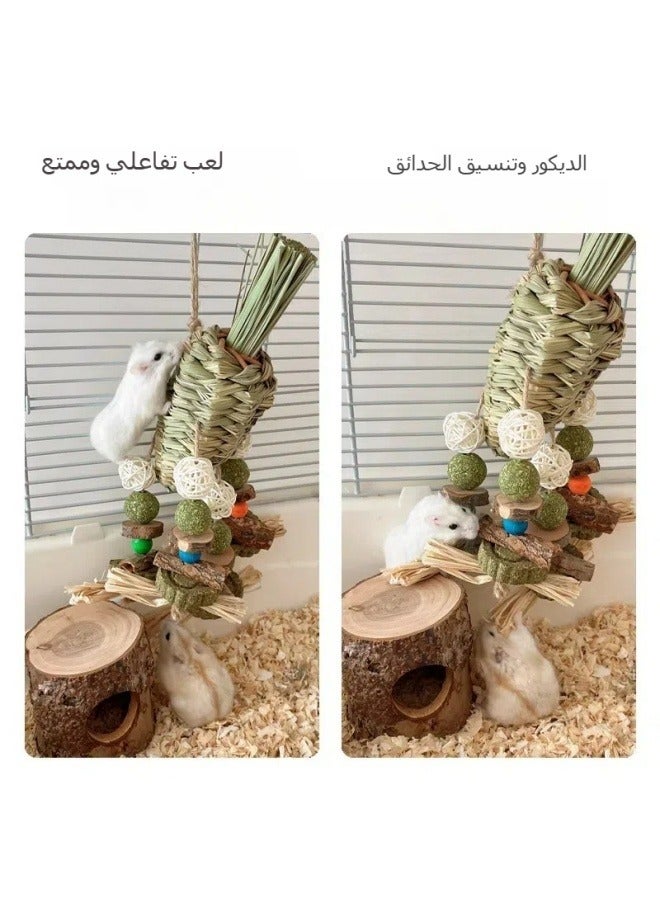 عام مجموعة من العناصر تشمل أرنب طوطو قاطع لعبة الهامستر، لعبة الدب الذهبي، أسنان العض، أسنان صحية، قش، جزرة، كرة العشب، هامستر، تصميم الحديقة. - Image 2