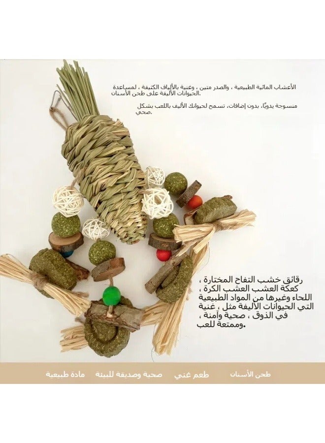 عام مجموعة من العناصر تشمل أرنب طوطو قاطع لعبة الهامستر، لعبة الدب الذهبي، أسنان العض، أسنان صحية، قش، جزرة، كرة العشب، هامستر، تصميم الحديقة. - Image 3