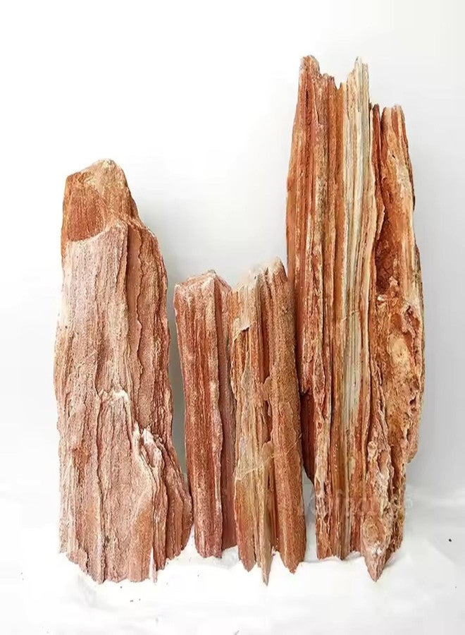 RUKDA Redwood Petrified Stone for Aquarium & Garden Decor - Aquascaping Rocks for Fish Tanks, Terrariums, Landscaping & Water Features - Unique Miniature Rock Formation Look (Redwood Rock, 5 Kg) - Image 4