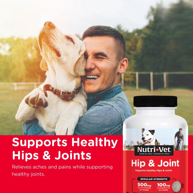 nutri vet Nutri-Vet Hip & Joint Regular Strength Chewable Dog Supplements, Joint Supplement for Dogs, Chewable Supplement, Formulated with Glucosamine Chondroitin, Pet Supplies, Puppy Essentials, 180 Count - Image 2