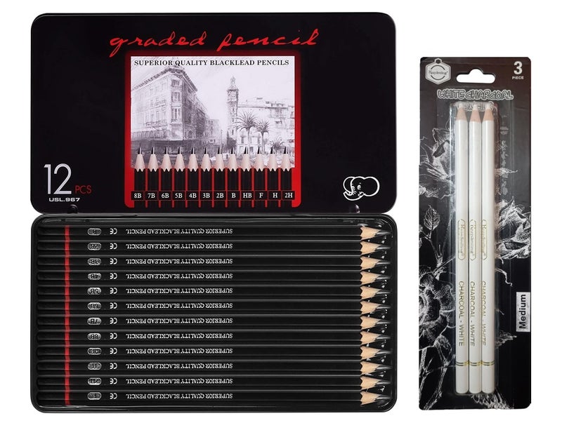 ChiggiWiggi ChiggiWiggi 12 Pcs Artist Graphite Drawing Pencil Set Ideal for Drawing, Sketching, Shading With Metal Case and 3 Pcs White Medium Charcoal Pencil For Drawing on Dark or Tinted Paper  - Image 1