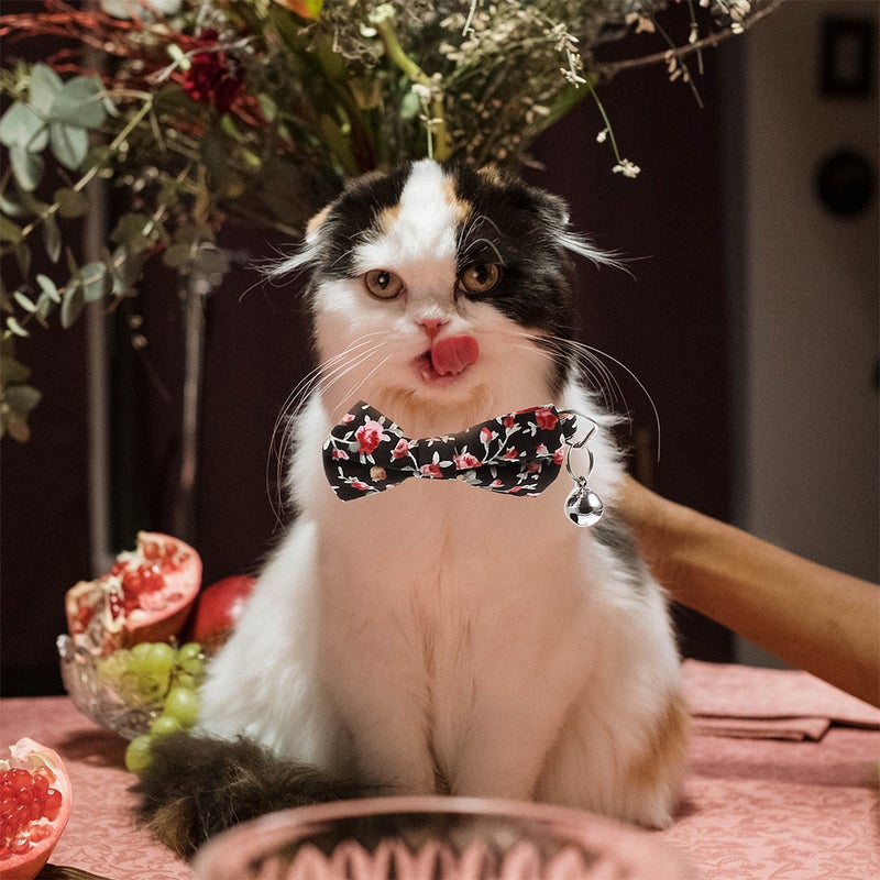 🐾 طوق قطط لطيف مع ربطة للقطة والكلب مريح للارتداء بوليستر قطن نايلون ٢ قطع - Image 2