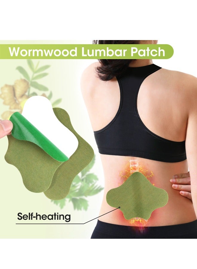 HailiCare 48 Pcs Patches Joints and Muscles Patches,Knee Shoulder Neck Heat Patches, Long-Lasting of Muscle and Joint Pain Herbal Patches Combo - Image 3