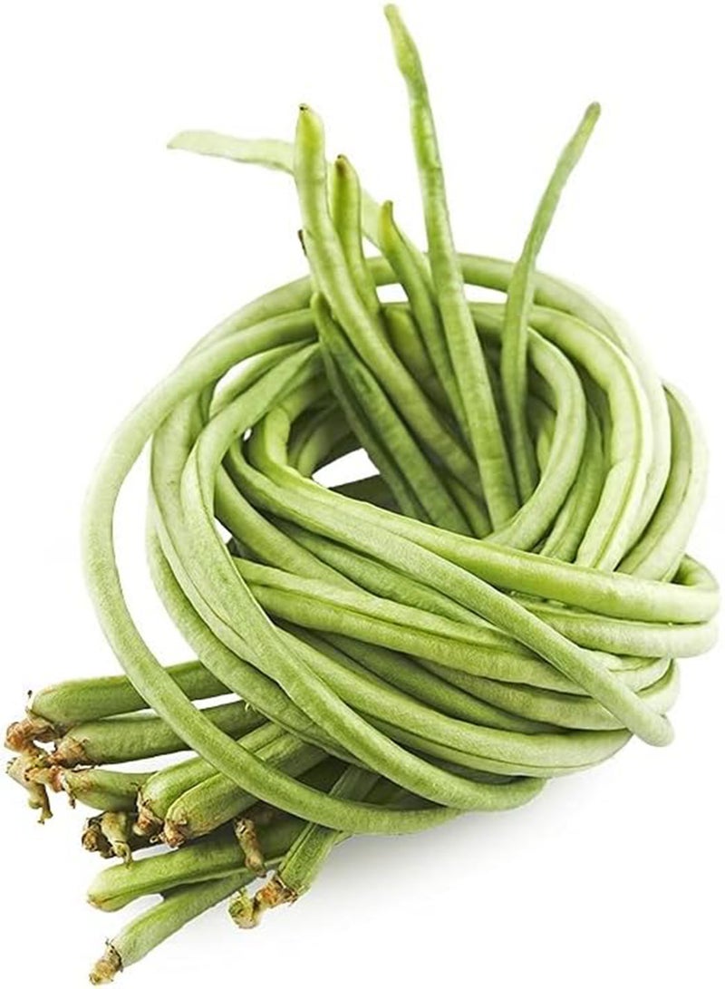 GGOOT 20pcs Heirloom Cowpea Seeds Planted in Small Garden Space Easy to Care Vegetable Varieties Widely Cultivated Around The World - Image 2