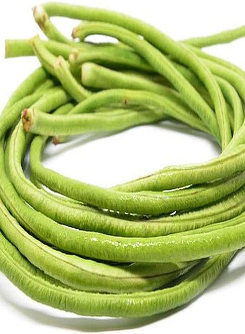 GGOOT 20pcs Heirloom Cowpea Seeds Planted in Small Garden Space Easy to Care Vegetable Varieties Widely Cultivated Around The World - Image 1