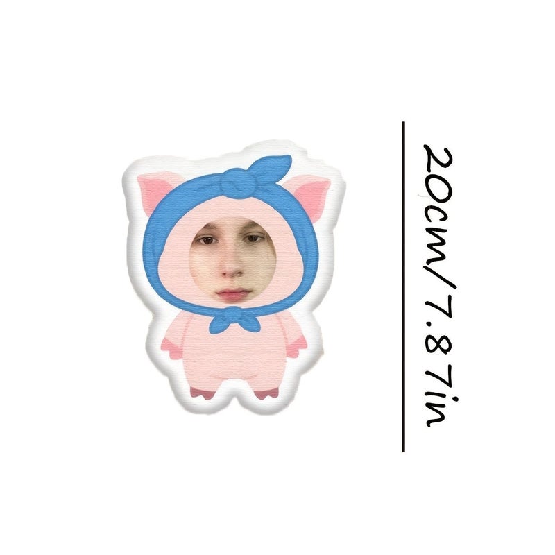 Customized Cartoon Character Pillow 20cm Diy Personalized Cushion For Sofa Bed Unique Gift - Image 5