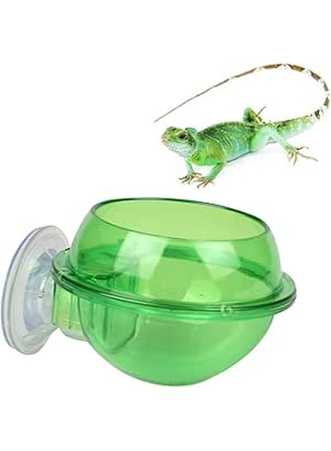 Sturdy Suction Cup Reptile Drinking Bowl for Turtle Lizard and Scorpion Small Pet Feeder - Image 1