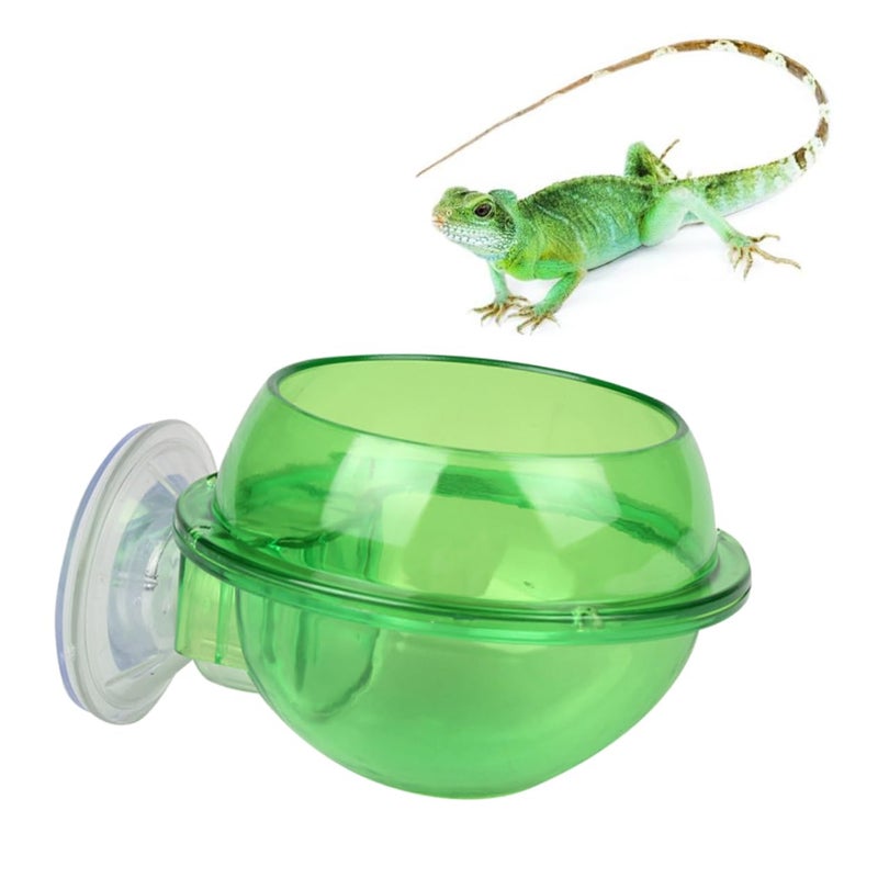 Sturdy Suction Cup Reptile Drinking Bowl for Turtle Lizard and Scorpion Small Pet Feeder - Image 2