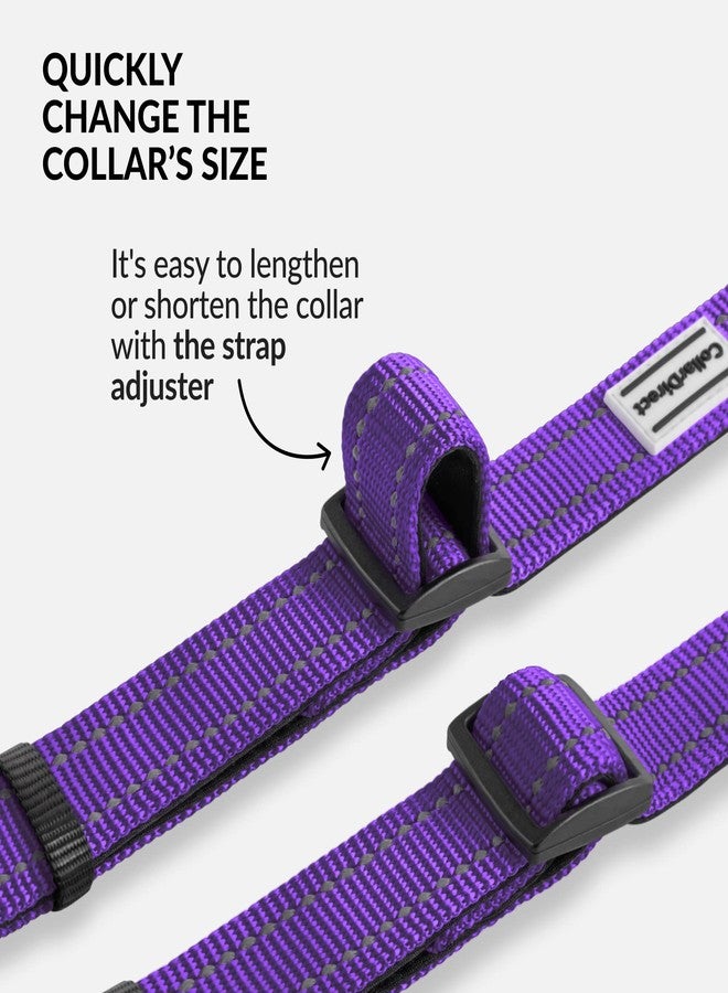 CollarDirect Reflective Dog Collar for a Small, Medium, Large Dog or Puppy with a Quick Release Buckle - Boy and Girl - Nylon Suitable for Swimming (18-26 Inch, Purple) - Image 5
