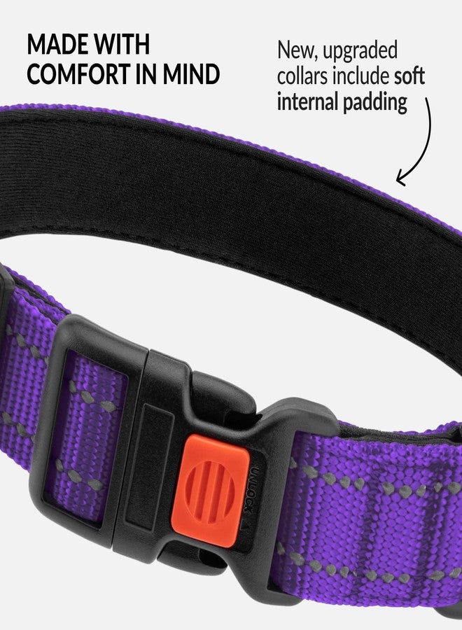 CollarDirect Reflective Dog Collar for a Small, Medium, Large Dog or Puppy with a Quick Release Buckle - Boy and Girl - Nylon Suitable for Swimming (18-26 Inch, Purple) - Image 4