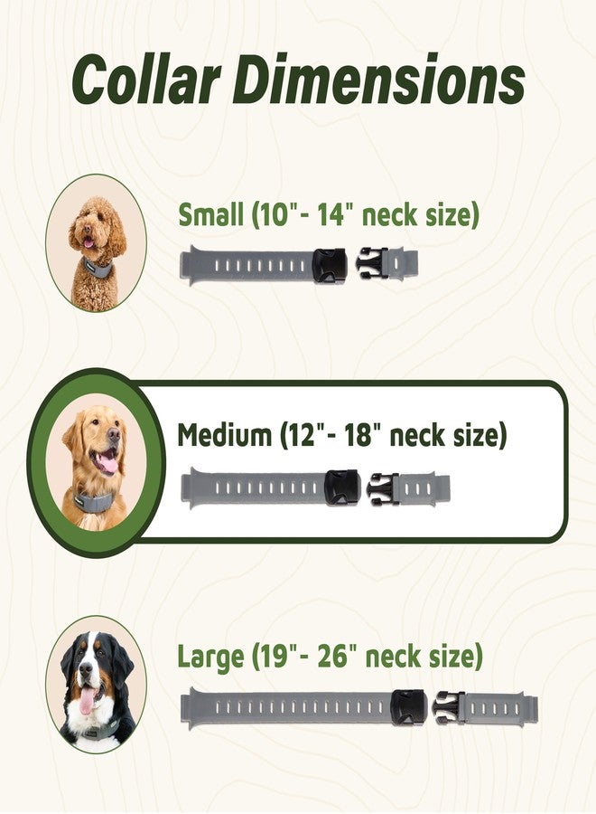 Spot-On SpotOn GPS Dog Collar Strap Replacement Kit for Large Dogs, Accurate & Reliable Wireless Dog Fence Collar, Gray Color, Collar Sold Separately (Medium (12"-18" Neck)) - Image 3