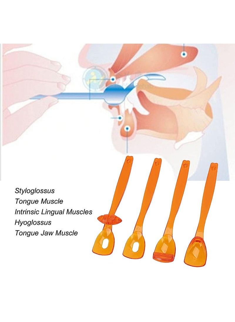 4 قطع من أداة تدريب عضلات الفم ، أداة تدريب طرف اللسان ، تعمل على تحسين مهارات التغذية ، مدرب عضلات اللسان ، أداة تدريب عضلات الفم والشفاه المحمولة لاستعادة عسر التلفظ - pzsku/Z4E464716DBD43406F30DZ/45/_/1689231750/81a3311d-9c41-47c6-a343-5056e73c7de7
