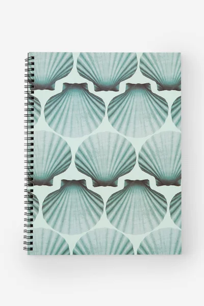 تايبو دفتر سبين أوت  الإصدار الثاني