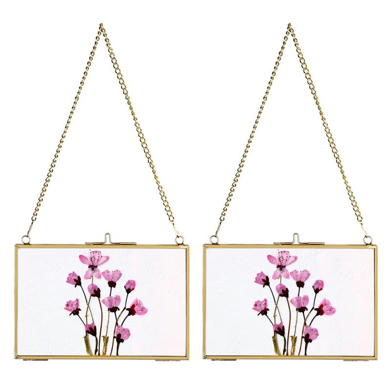 JUXYES Set of 2 Brass Wall Hanging Photo Frame  Glass Hanging Picture Artwork Display Frame  Double Glass Floating Frame Style Gallery Wall Frame for Photo Picture Poster etc