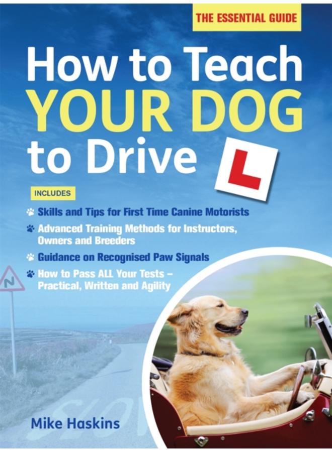 How to Teach your Dog to Drive 